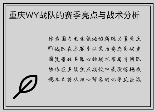 重庆WY战队的赛季亮点与战术分析
